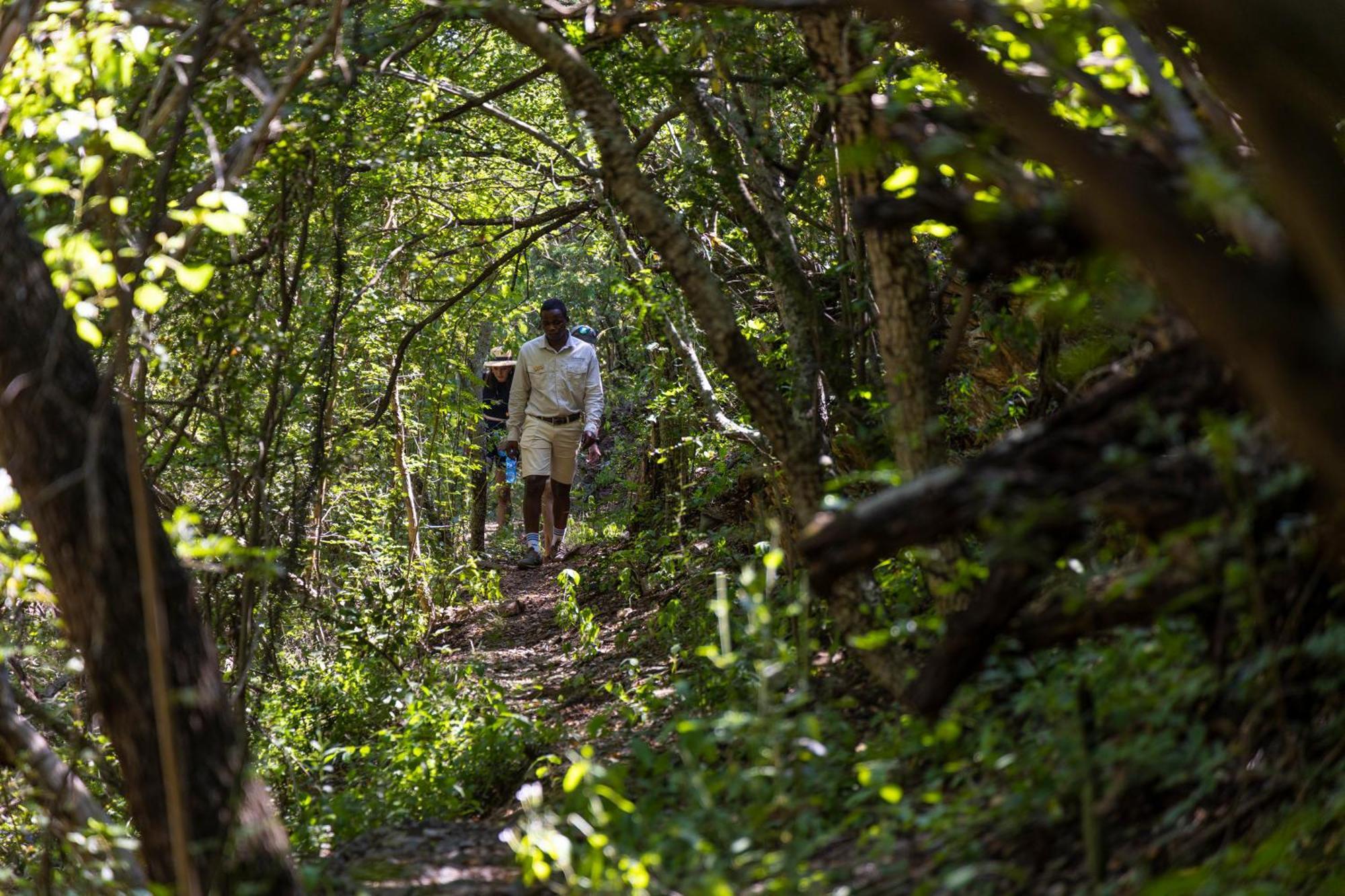 Matatane Camp - Babanango Game Reserve Nkwalini ภายนอก รูปภาพ